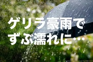 ゲリラ豪雨でずぶ濡れになった経験は？　西日本・南日本では頻度も高く…