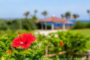 沖縄でオススメのリゾートホテル「ザ・ムーンビーチ」　徒歩0分でプライベート感満載のビーチに