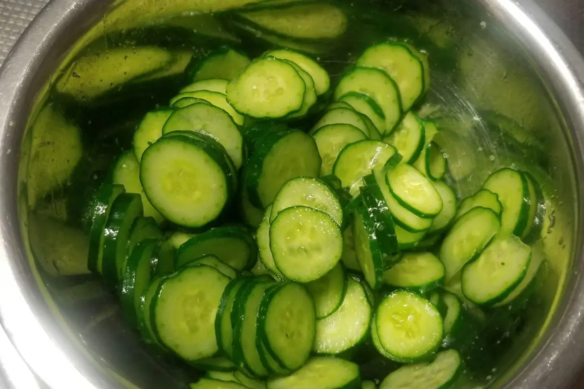 sirabee20230701cucumber2