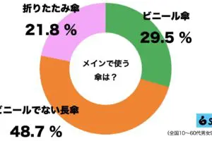 sirabee20230706kasa1