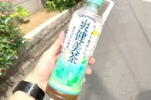 sirabee20230706sokenbicha