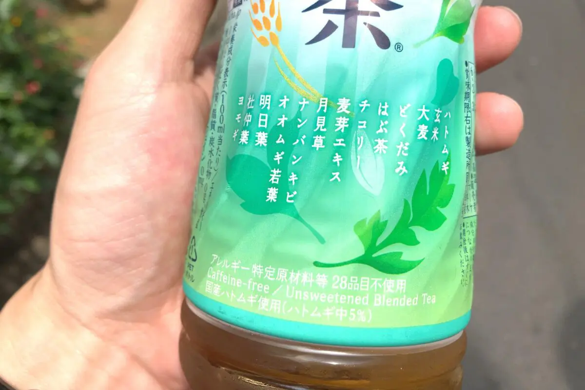 sirabee20230706sokenbicha2