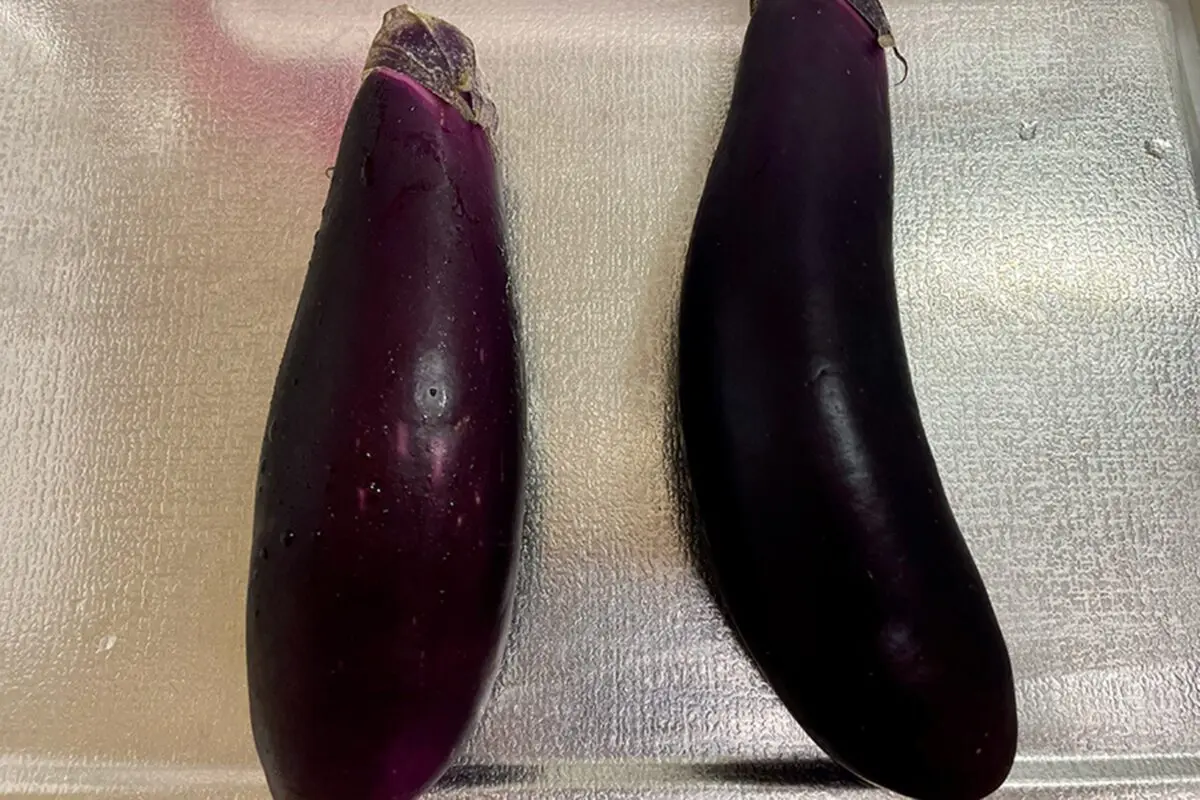 sirabee20230707nasumiso1