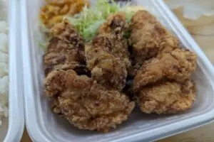 sirabee20230711karaage005