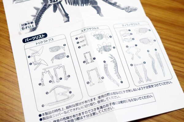 化石コレクション