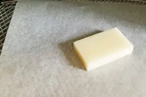 sirabee20230713ocha2