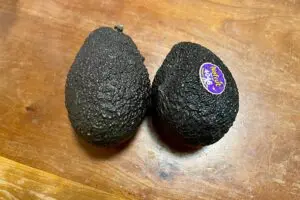 sirabee20230718abocado1