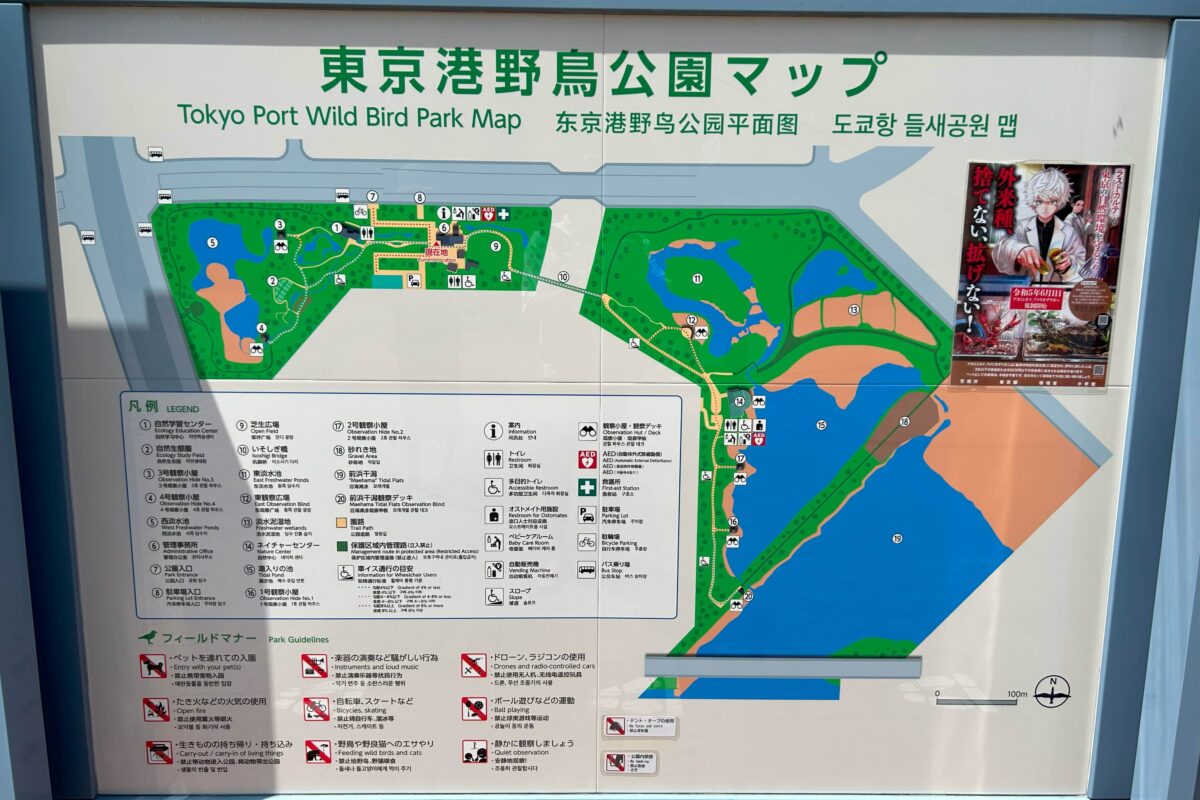 東京港野鳥公園