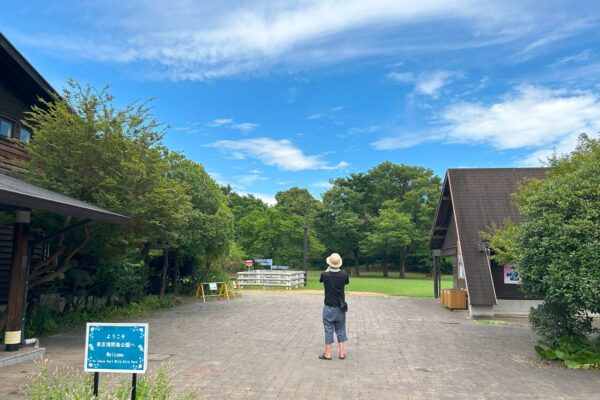 東京港野鳥公園