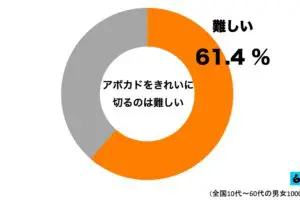 sirabee20230724abokado1