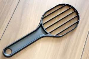 sirabee20230724abokado4