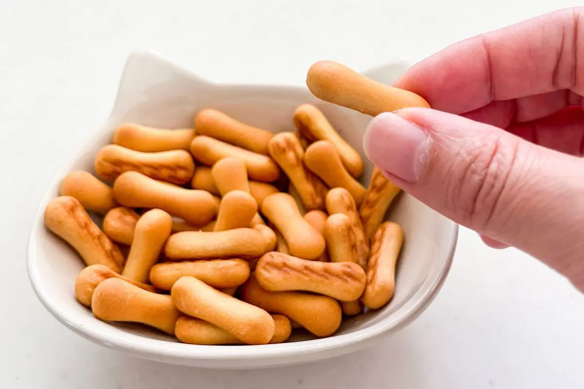 sirabee20230726kinokonoyama6