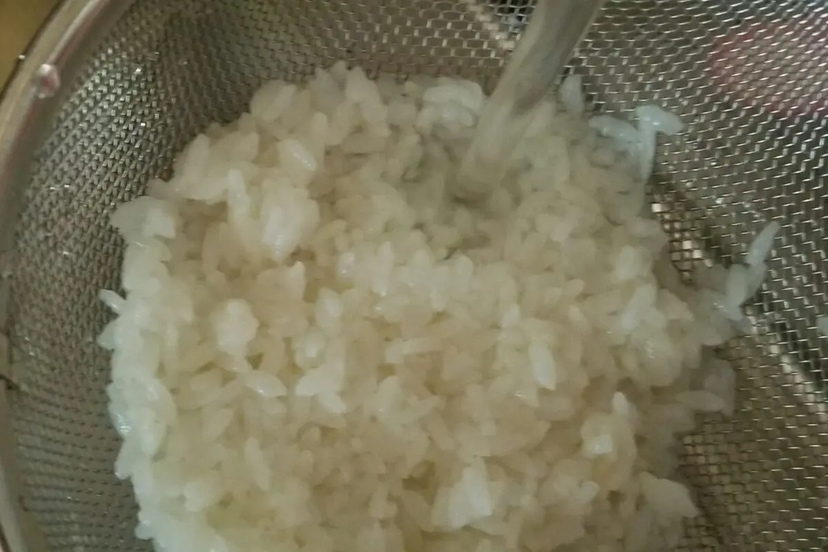 sirabee20230727chaduke2