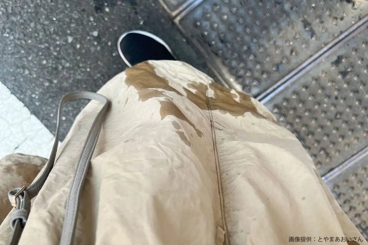 sirabee20230728cola2