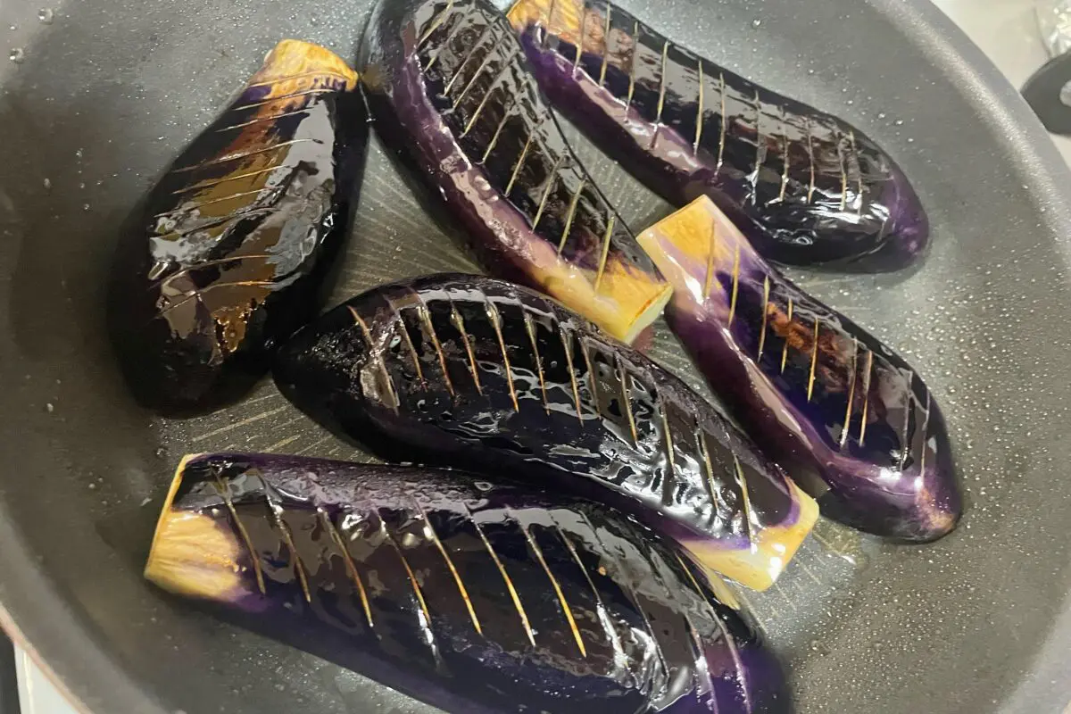 sirabee20230728eggplant5