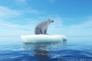 ホッキョクグマの生息地域である北極　人間のエネルギー資源獲得の場と化す