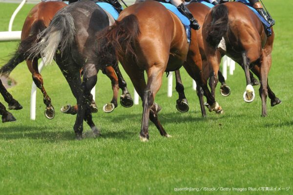 競馬