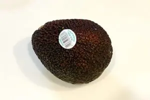 sirabee20230724abokado7