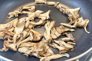 sirabee20230804kinoko3