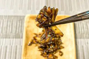 sirabee20230804kinoko5