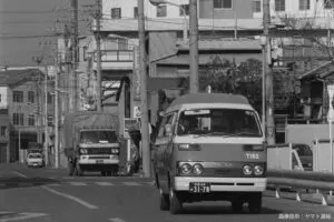 sirabee20230821kuronekoyamato