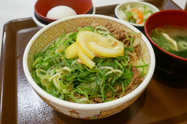 ねぎ塩レモン牛丼