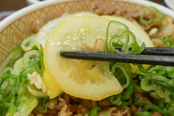 ねぎ塩レモン牛丼