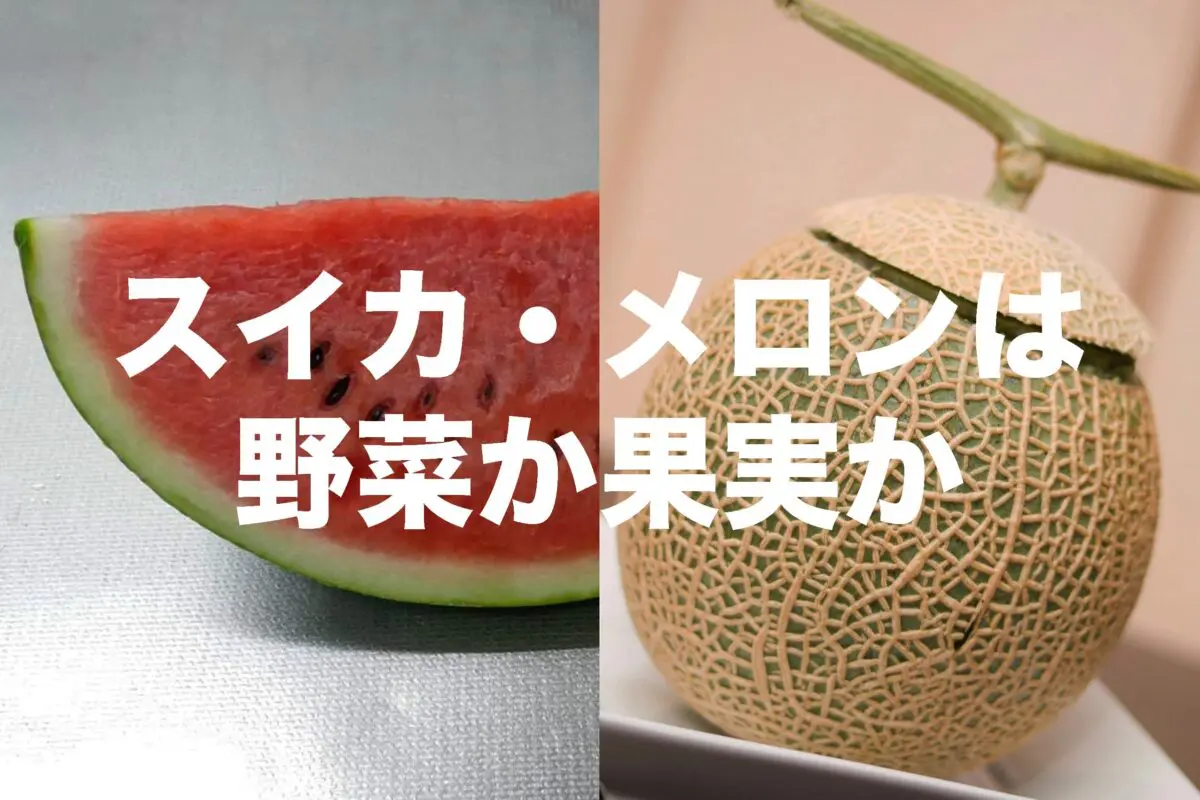 sirabee20230823suika_melon