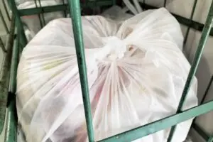 sirabee20230825gomi2