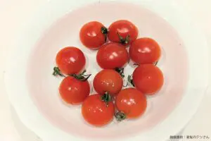 sirabee20230829tomato3