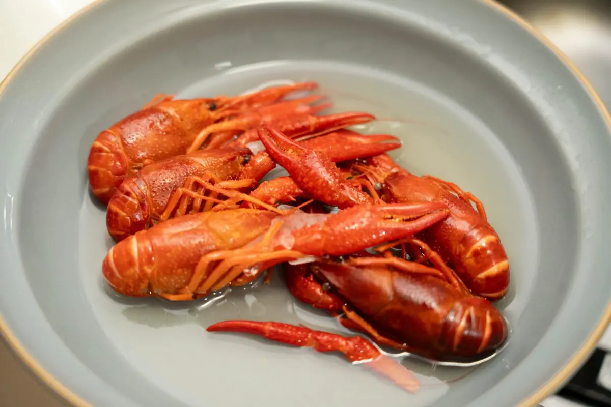 sirabee20230905gyomusuper_zarigani006