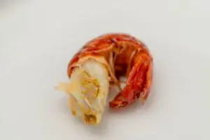 sirabee20230905gyomusuper_zarigani009