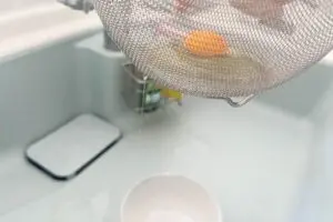 sirabee20230905medamayaki6