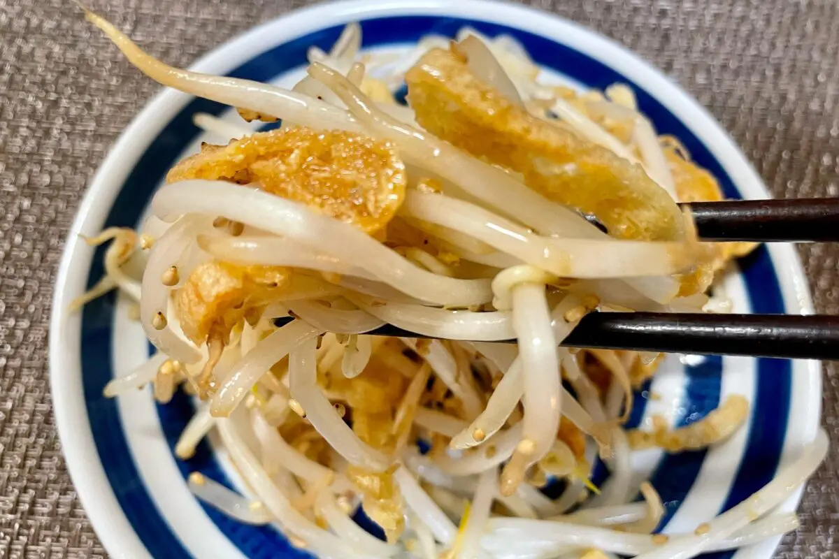 sirabee20230910moyashi9