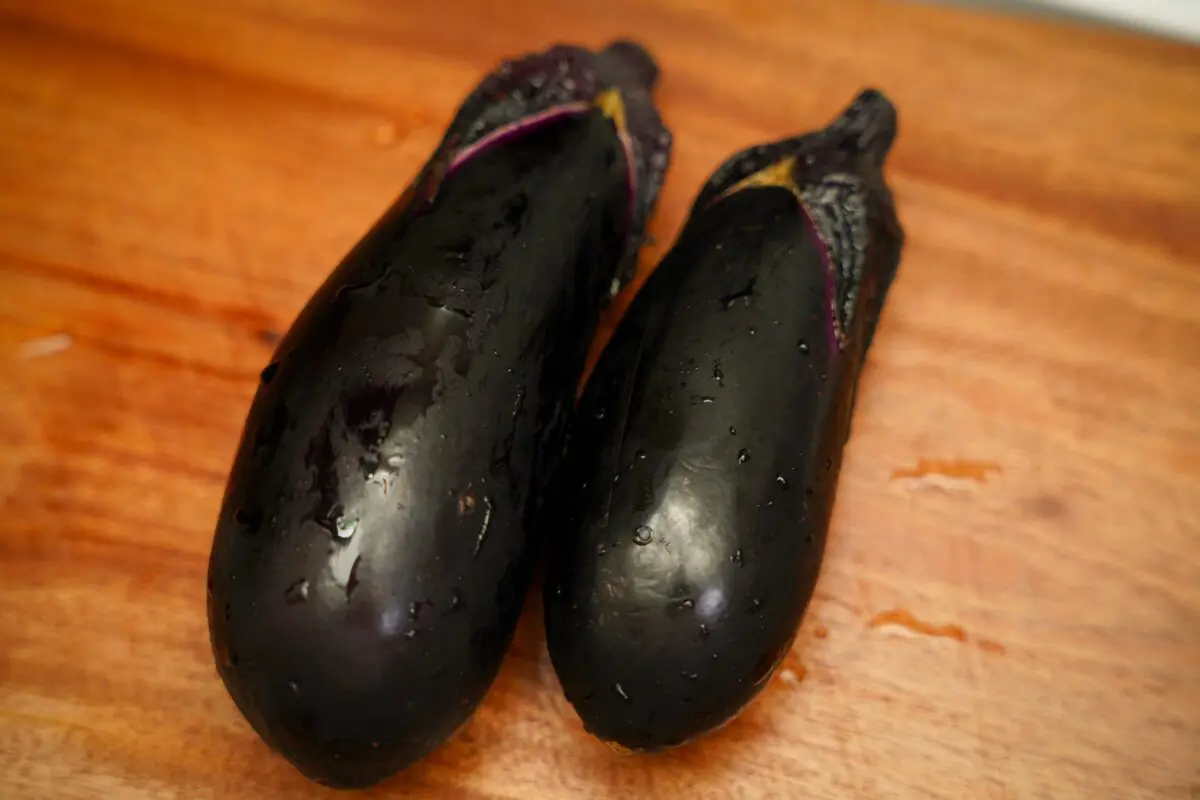 sirabee20230914imuraya_3