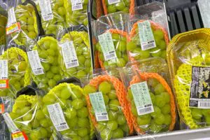 sirabee20230922sheinmuscat001