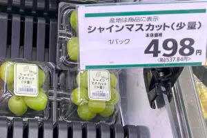 sirabee20230922sheinmuscat002