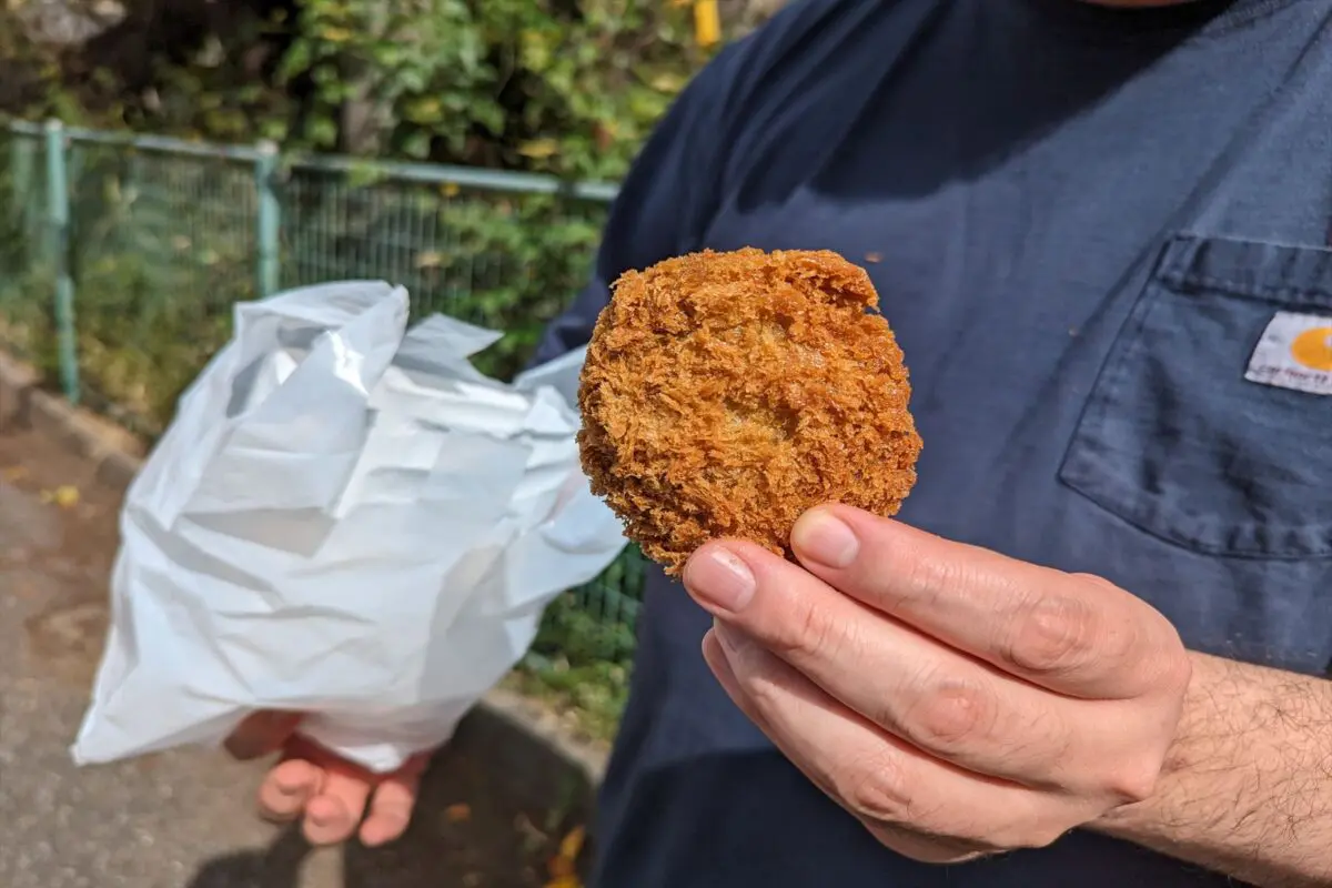 sirabee20230927soucoro004