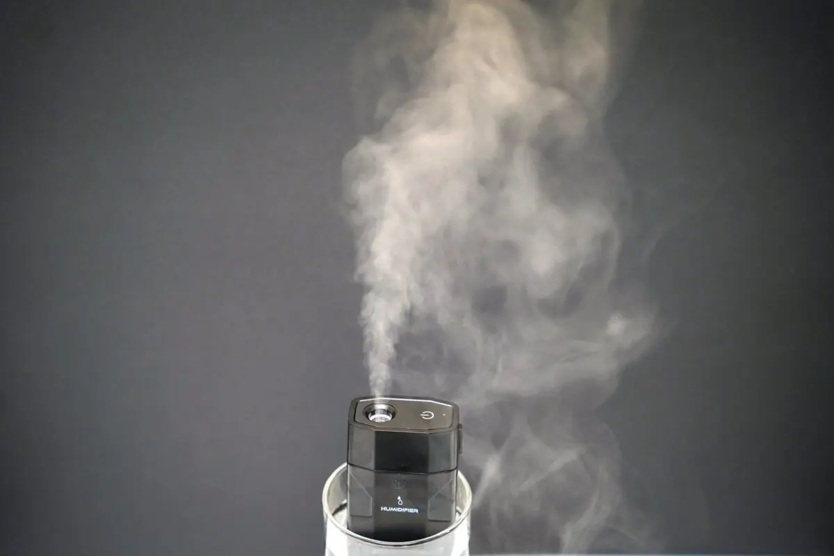 sirabee20231002daiso_7