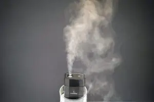 sirabee20231002daiso_7