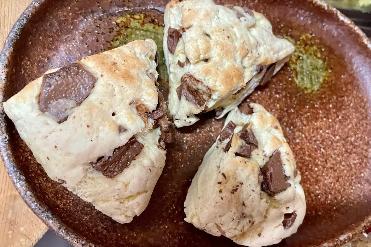 sirabee20231009scone8