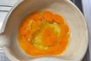 sirabee20231011nyumen3