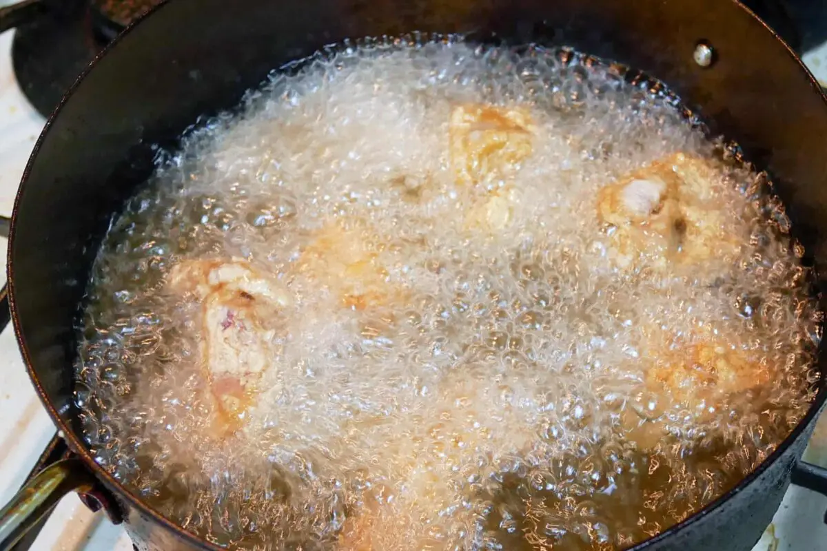 sirabee20231019kaldi3