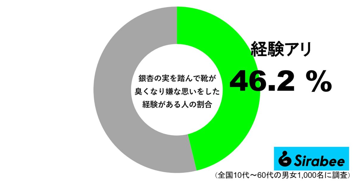 銀杏の実を踏んで靴が臭くなった