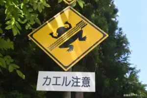 日本一グロテスクな標識、その内容に目を疑うが…　じつは「日本一優しい標識」と判明