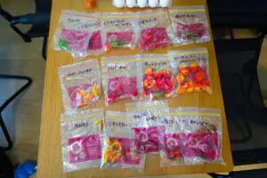 sirabee20231101nabe_otaku003