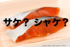 「鮭」という漢字を何と読む？　「サケ派」「シャケ派」が多い地域も判明