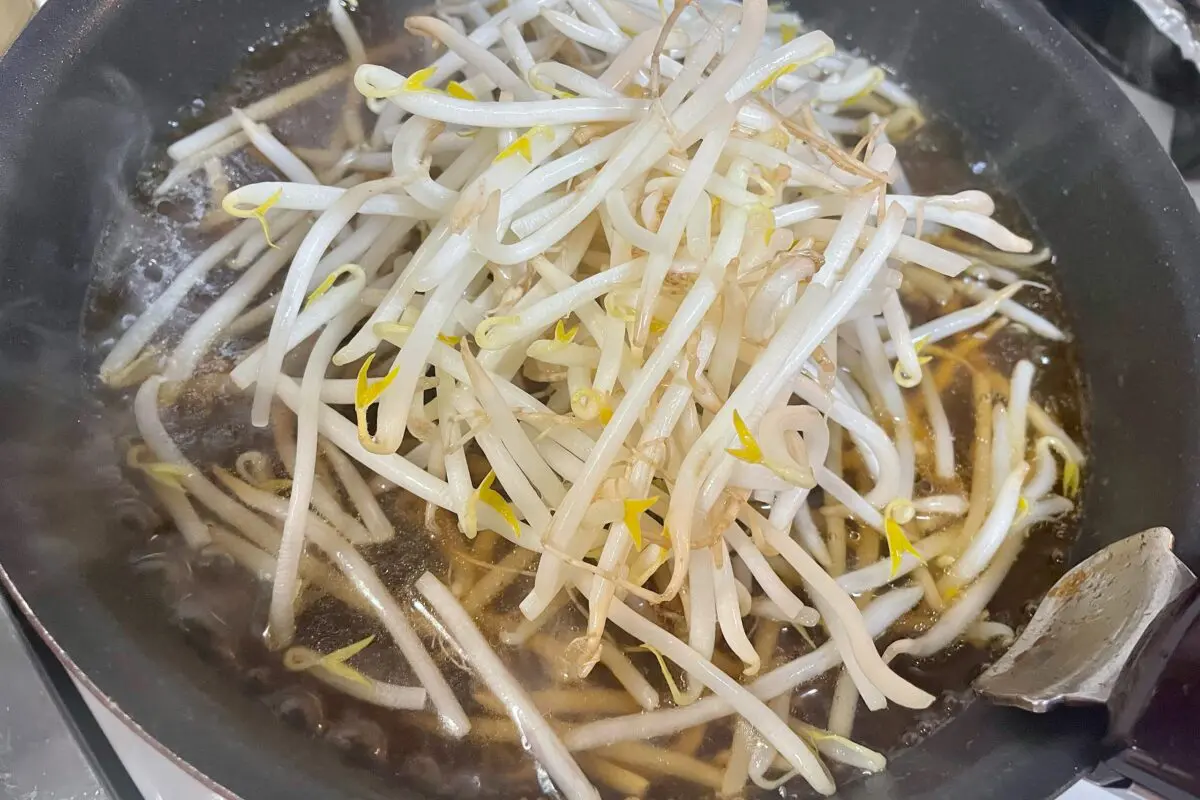 sirabee20231104moyashi3