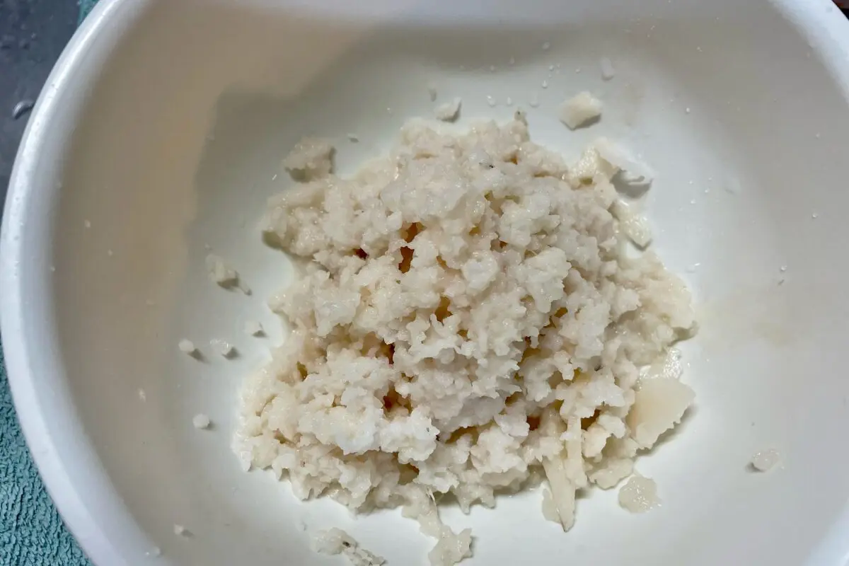 sirabee20231109renkon2