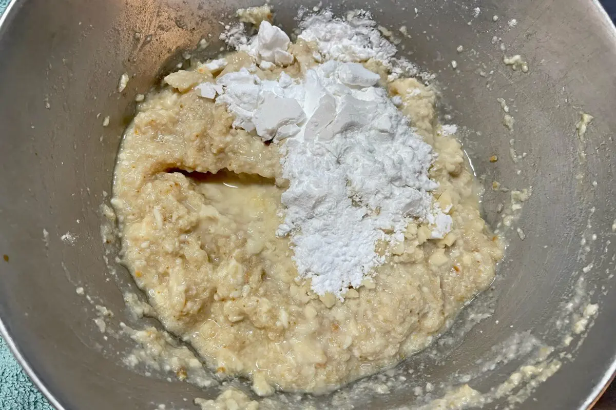 sirabee20231109renkon5